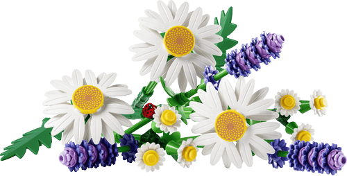 LEGO Botanicals Margaritas 11508